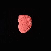https://www.saferparty.ch/warnungen/donald-trump-mdma-204-1685