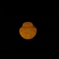 https://www.saferparty.ch/warnungen/toad-mdma-l2671