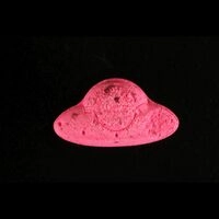 https://www.saferparty.ch/warnungen/spacex-2c-b-25108