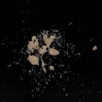 https://drugchecking.berlin/aktuelle-warnungen