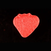 https://www.saferparty.ch/warnungen/erdbeere-mdma-l1963
