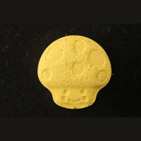 https://www.saferparty.ch/warnungen/pilz-mdma