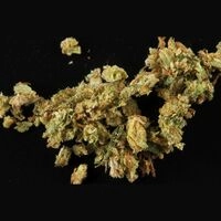 https://www.saferparty.ch/warnungen/cannabis-mit-synthetischem-cannabinoid-c1878