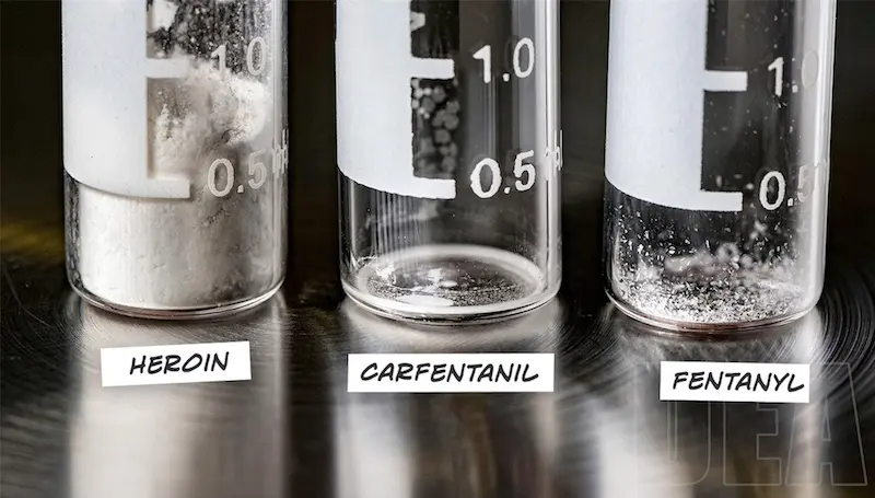 Lethal dose of carfentanil might be invisible to the naked eye. Source: DEA