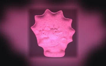 Drug Purity Report: Week 29, 2026