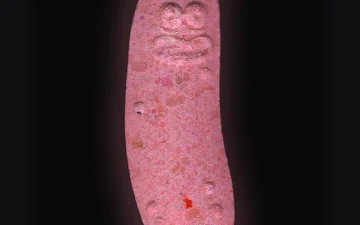 Pickle Rick pills (Ecstasy / MDMA)