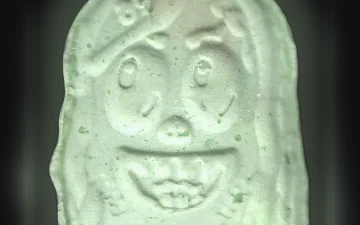 69 pills (Ecstasy / MDMA)