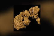 DrugsPRO sample 20260819SWndN