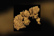 DrugsPRO sample 20260819SWndN