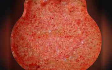 Krumelmonster pills (Ecstasy / MDMA)