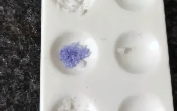 1P-LSD does not turn Ehrlich purple