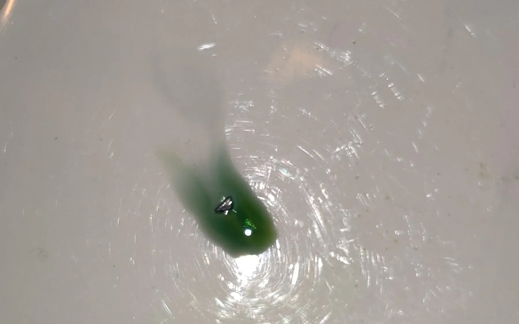 How to detect NBOMes?