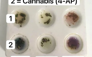 Reagent test on cannabis