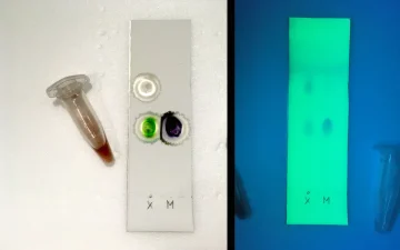 TLC testing card with a sample beside the reference