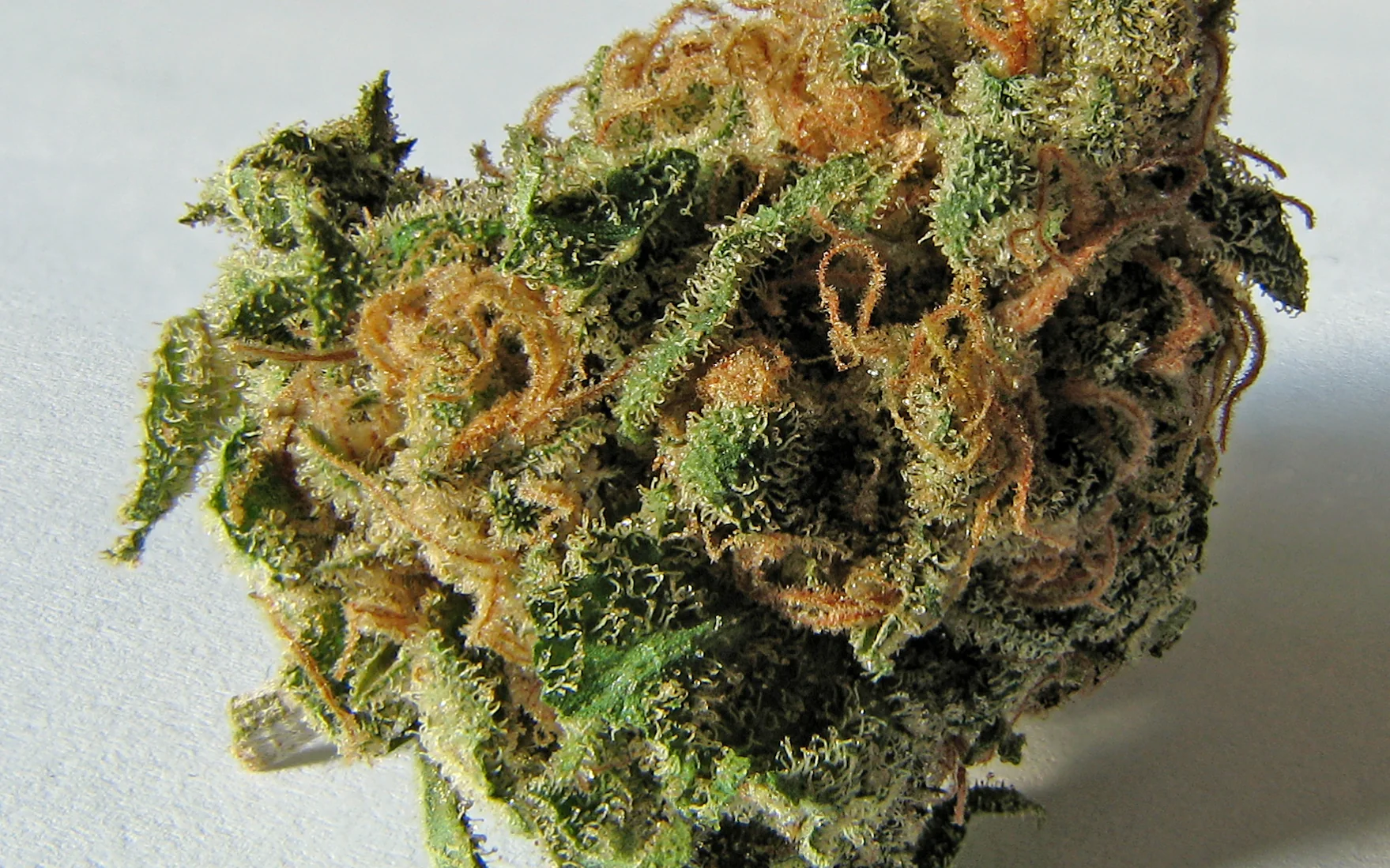 What is THC?