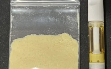 What does DMT look like?
