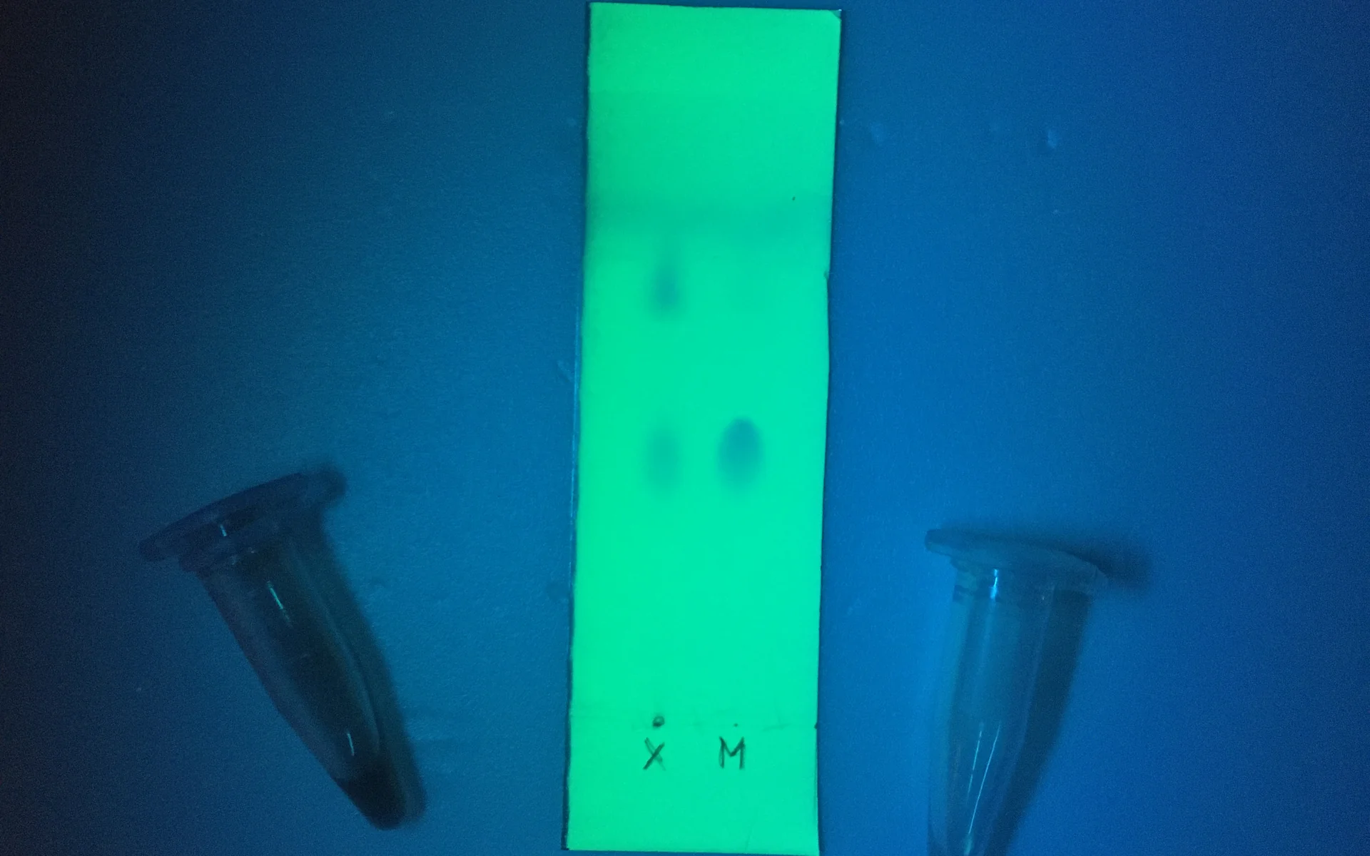 TLC drug test: what it measures and how to read it