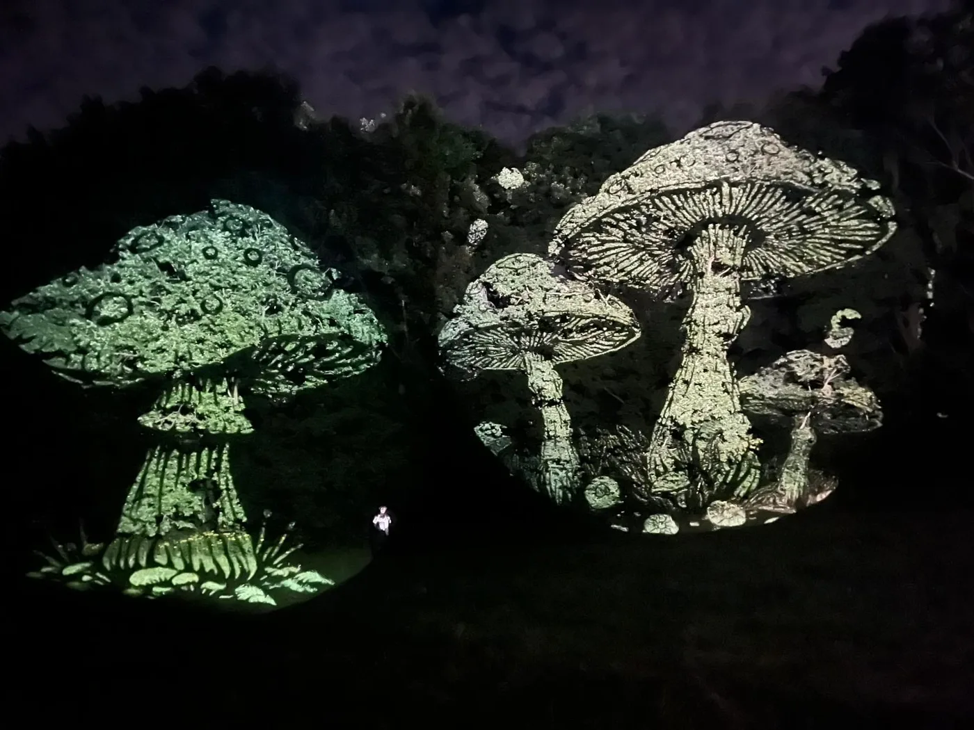 Illuminated mushroom installation at a music festival
