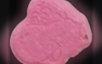 Yoshi pills (Ecstasy / MDMA)