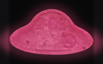 UFO pills (2C-B)