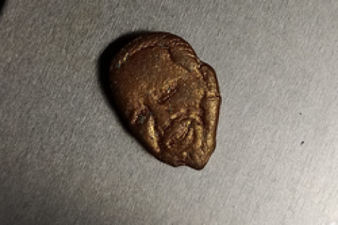 Bukele pills