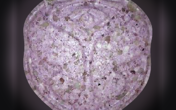 Tomorrowland pills (Ecstasy / MDMA)