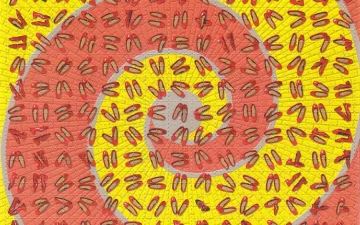 A full sheet of LSD blotter paper printed with a red and yellow spiral design