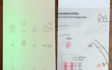 Cannabinoid TLC testing card results