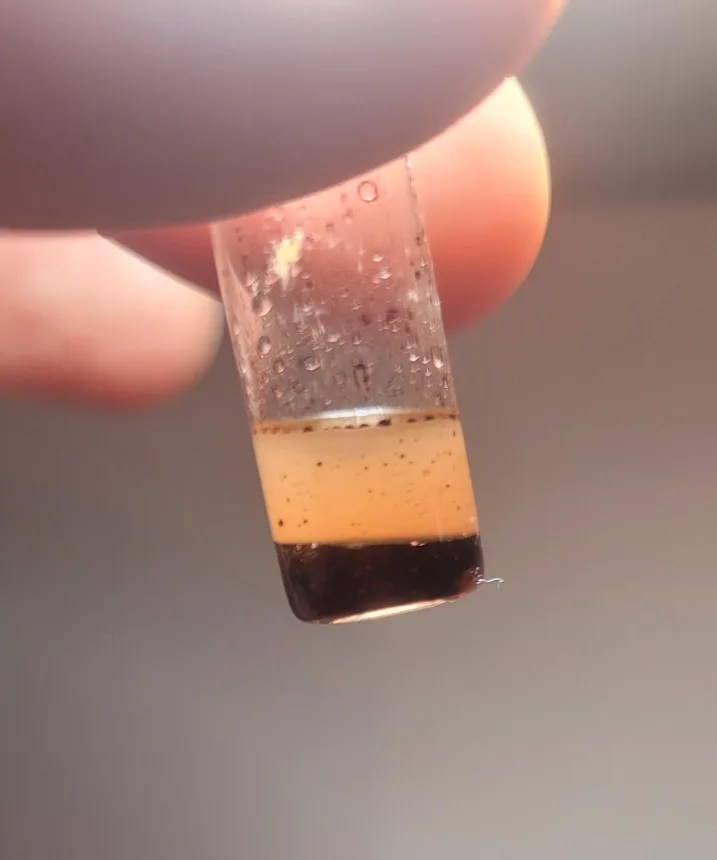 A two-liquid cocaine purity ampoule held between two fingers, with a dark brown layer at the bottom and a pale beige layer above it